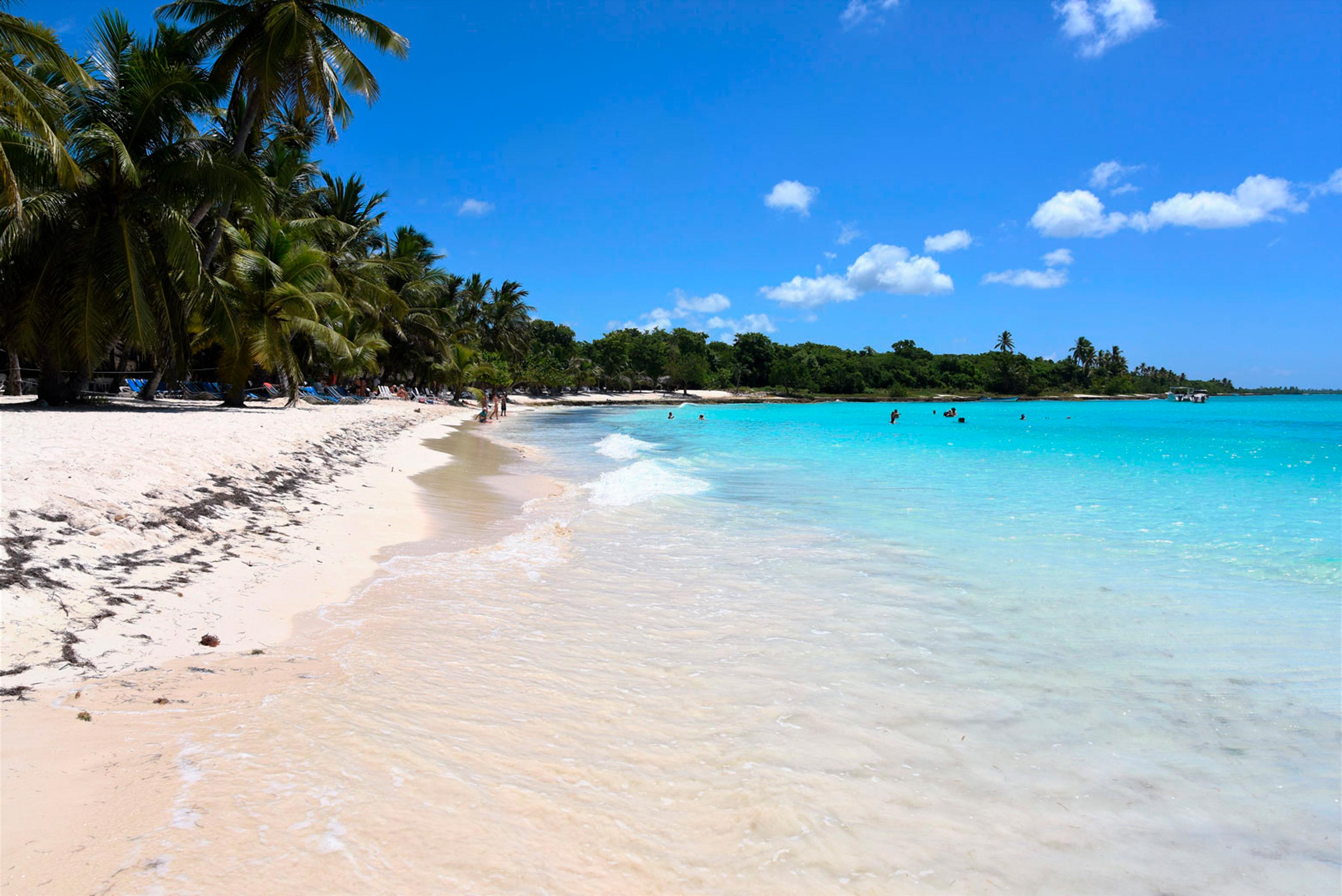 Palm-lined shoreline on Isla Saona